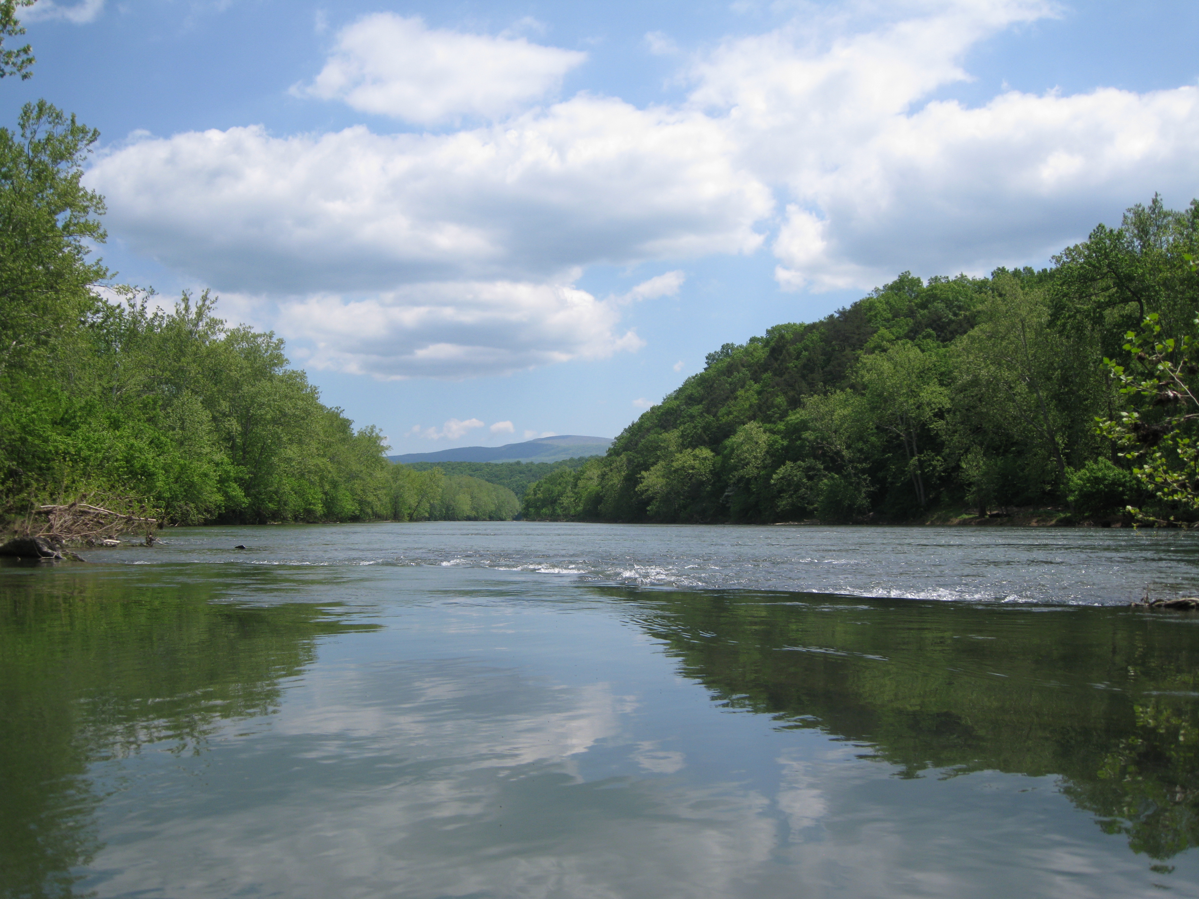For the river in New Zealand, see Shenandoah River, New Zealand .